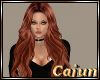 Ginger Cream Abra