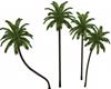 Palm Trees set v2