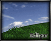 (ED1)vast grassland