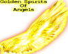 Holy Spirits Wings