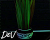 !D Plant V2