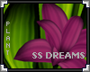 [LyL]SS Dreams Plant