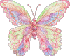 Butterfly27