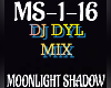Remix Moonlight Shadow