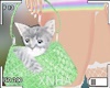 ♡ Bag + Kitten Green