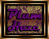 Plum Haze Hanging Plant