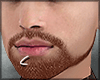 s. Beard (ASTERI) v3l