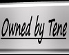 Owned by Tene Collar F