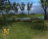 Romantic Night Camp