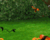 Humming bird Kiss Love