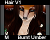 Burnt Umber Hair M V1