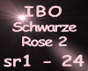 IBO Schwarze Rose Part2