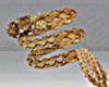 Gold Right Snake Bracele