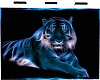 [LN] Big Blue Tiger Pic