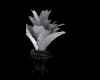 Vase black&white