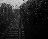 Rain Train Track