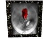 [BB]rosestrfrmpic
