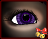 Purple Haze Eye (M)