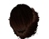 Knightly Brown Updo