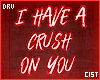 Crush On You Neon Sign