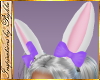 I~Lilac Bows+Bunny Ears