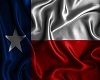 TEXAS PROUD