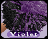 (V) purple black poms