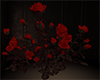 DARK ROSES RED
