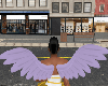 H l Slwem Wings