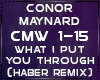 Conor Maynard What I Put