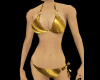 Gold Satin Bikini