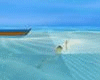 island white animate