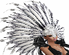 Dancers Head Dress