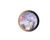 pegasus picture 3
