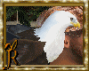 [JR] Bald Eagle
