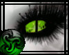 Green Dragon eyes