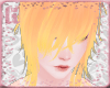|H|Shelton Yellow&Orange