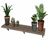 Plants Set