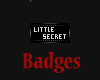-X-Little Secret Badge
