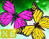 XB- BUTTERFLY PINK YELLO