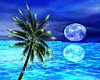 Moonlight Romantic Beach