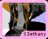 ll3:. Avery Top