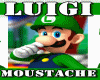 llzM.. LUIGI - Moustache