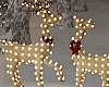 Christmas Deer Couple