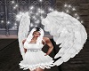 Angel Wings w/Sparkles