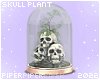 P| Skull Terrarium