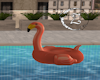 Z Flamingo Floaty
