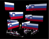 Slovenia Flag Poofer