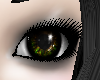 Shilo's Eyes