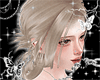♰ laneige emica